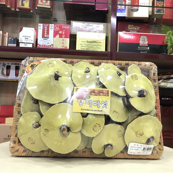Nấm linh chi vàng thơm tự nhiên tai nhỏ Hàn Quốc thượng hạng khay 1 kg